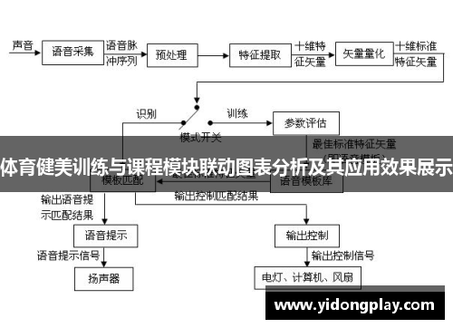 体育健美训练与课程模块联动图表分析及其应用效果展示